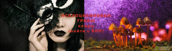 spice Хадыженск