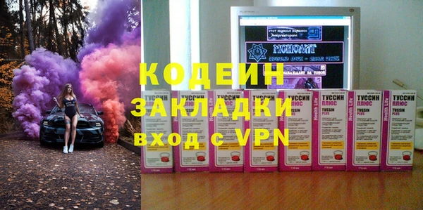 трава Гусиноозёрск