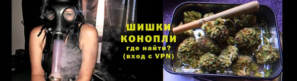 трава Гусиноозёрск