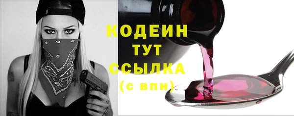 трава Гусиноозёрск