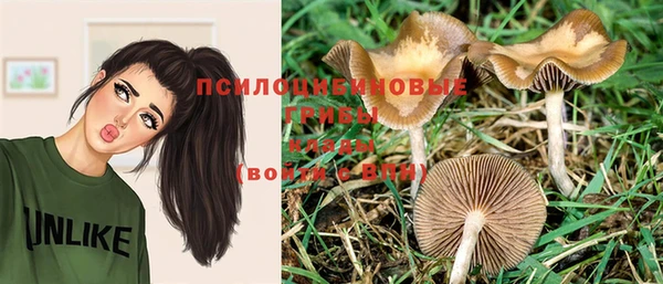 первитин Нея