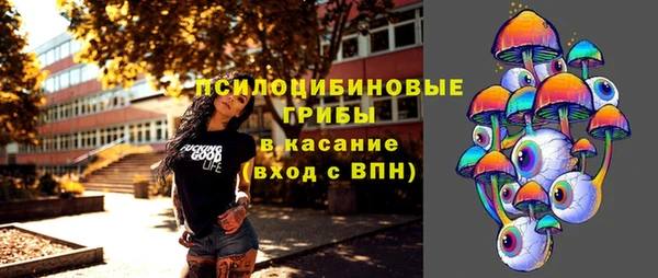 герыч Гусь-Хрустальный
