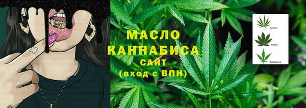 трава Гусиноозёрск