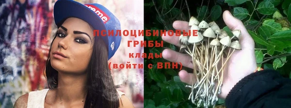синтетический гашиш Гусев