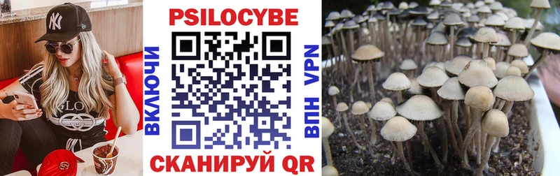 Псилоцибиновые грибы прущие грибы  купить   Онега 